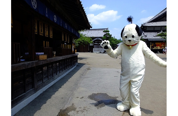 猫と同じ、面倒くさそうにポーズ