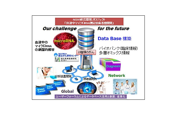 プロジェクトのイメージ図