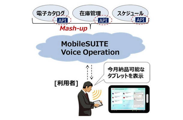 システム実現のイメージ図