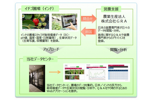 「インドICHIGOプロジェクト」システム構成例