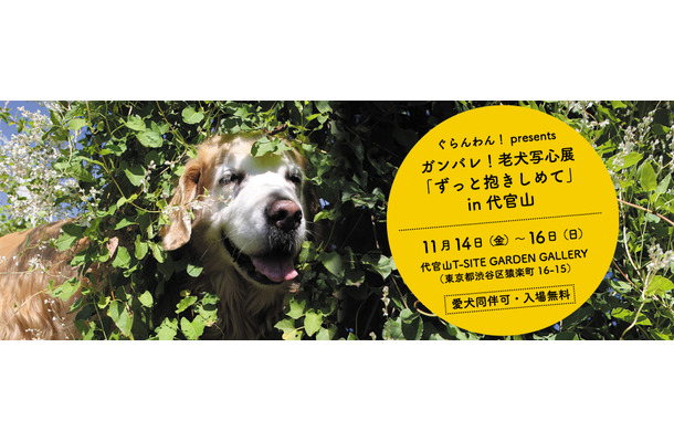 「ガンバレ！老犬写心展『ずっと抱きしめて』in代官山」