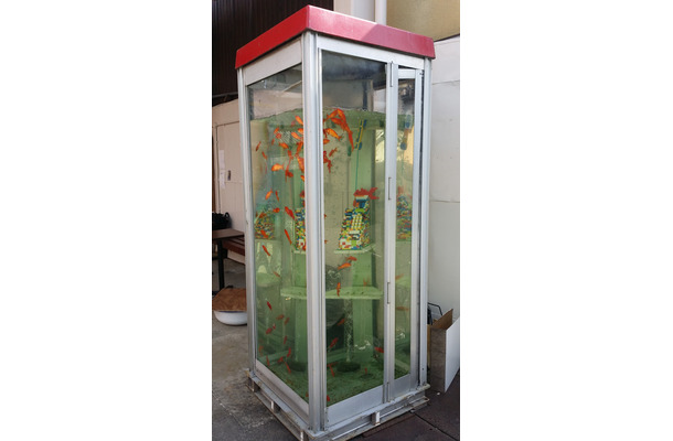奈良県・大和郡山の商店街にある電話ボックス。金魚が約60匹泳いでいる