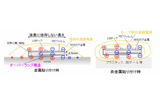 今回開発したループ状の構造