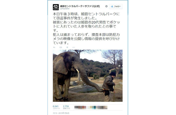 容疑者の鼻がポケットからニンジンを抜き取る決定的な瞬間！（画像は姫路セントラルパーク公式twitterより）。