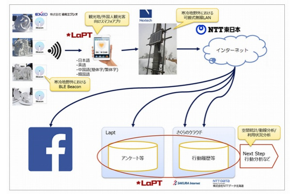 実験の概要