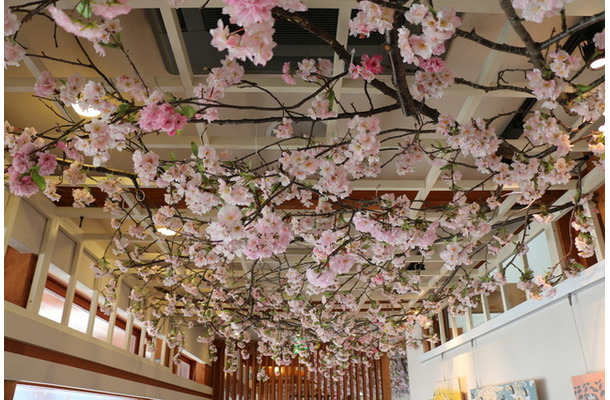 桜で装飾されたスターバックスコーヒー「上野恩賜公園店」店内（天井）