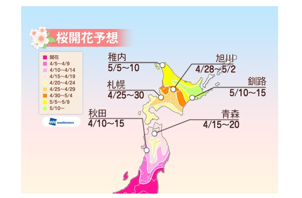 桜開花予想（4月8日時点）