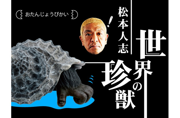 ガチャ「松本人志 世界の珍獣 第1弾」がリニューアルでAR技術を採用