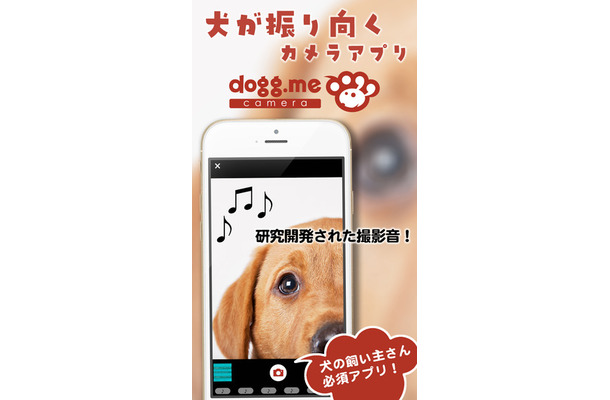 「dogg.meカメラ」はiOS・Android用アプリ。ただし、「かおマッチ」機能は現在のところiOS版のみに対応（画像はプレスリリースより）