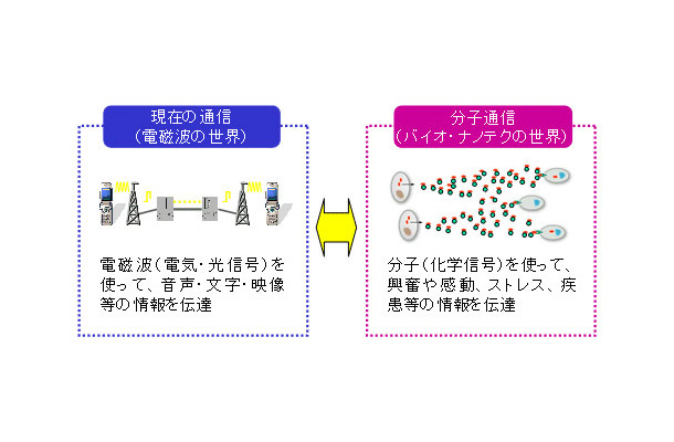 分子通信技術のイメージ