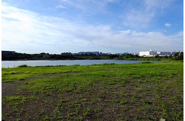 城南島から東京港野鳥公園を眺める。羽田アクセス新線はこの付近の地下に設置される計画だ