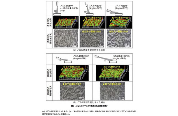 理化学研究所と東京都市大学の発表資料より