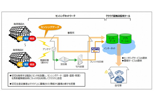 トライアルイメージ