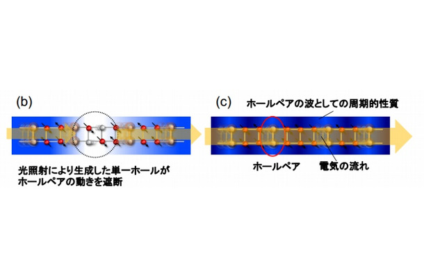 (b)光で生成した絶縁体状態および(c)金属状態におけるホールペアの流れ