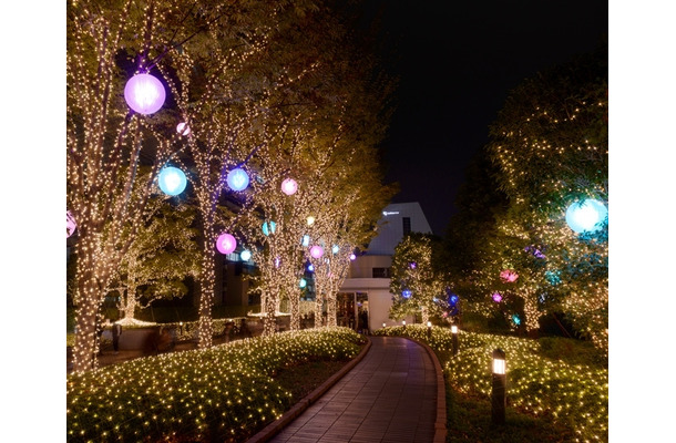 カラフルなイルミが新宿の街を包む！ 11月11日から