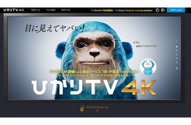「ひかりTV4K」サイト