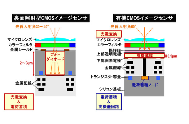 有機CMOSイメージセンサでは光電変換を有機薄膜で、信号電荷の蓄積は下層の回路部で行うので、入射光線範囲の拡大やレンズの設計自由度向上などのメリットがある（画像はプレスリリースより）