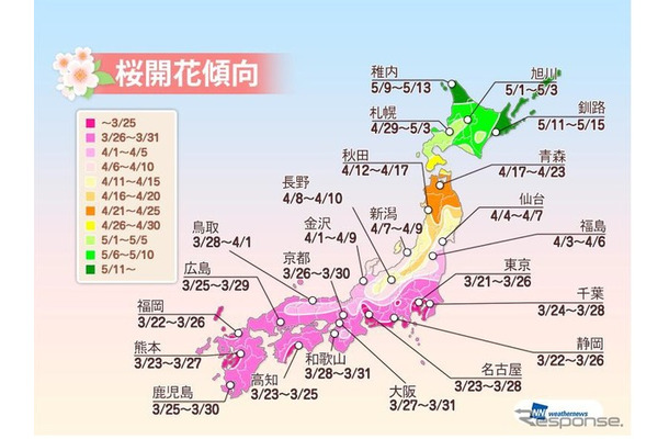 桜開花傾向