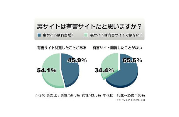 裏サイトに関する意識調査