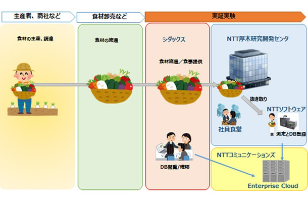 実証実験の流れ