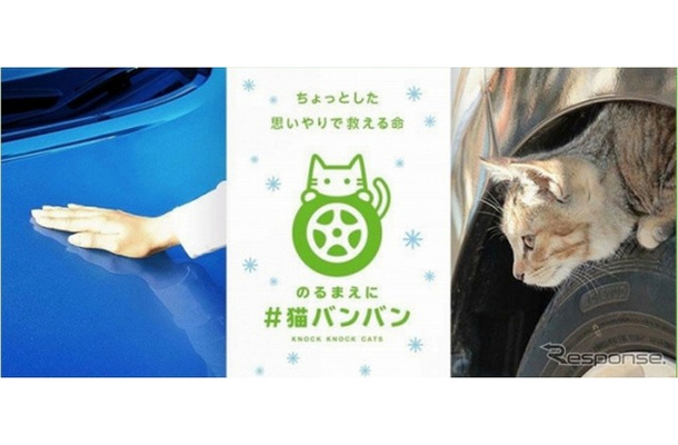 ＃猫バンバン