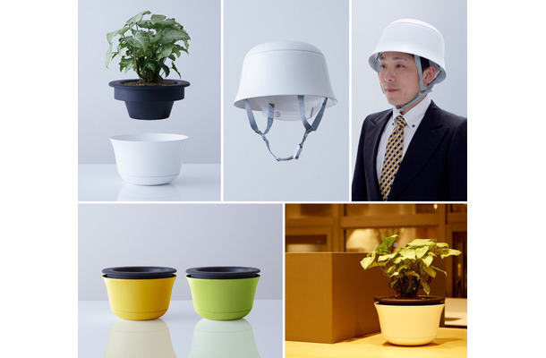 普段は観葉植物の鉢植えとして、いざという時にはヘルメットとして使用できる「POT」。植木部分が簡単に外せるようになっている（画像はプレスリリースより）