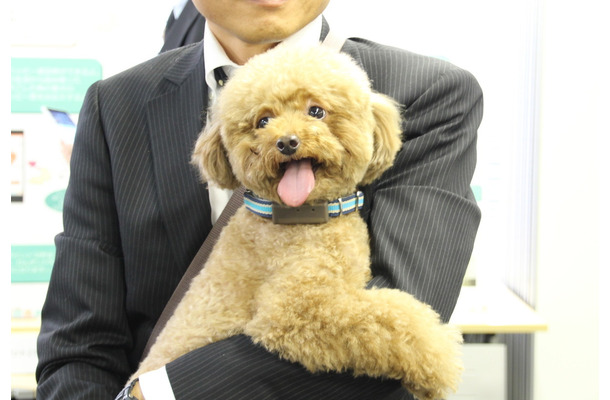 愛犬見守りサービス「わんダント2」製品説明会　サービススタッフのエースくん