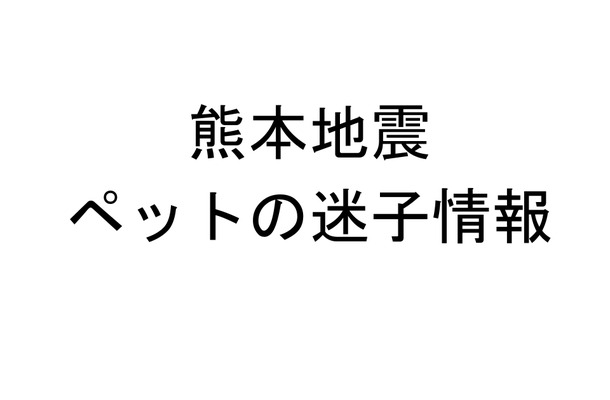 「見つけたら連絡お願い！」熊本地震で迷子のペット多数