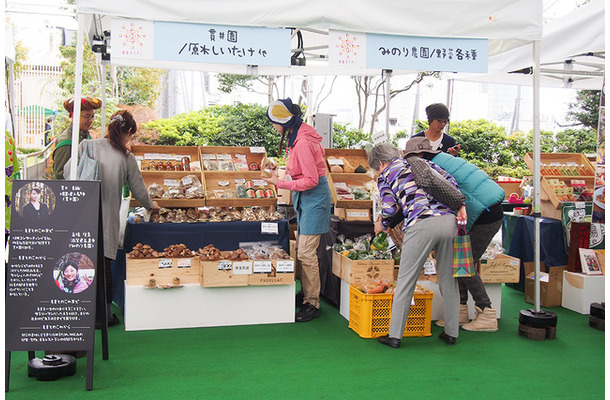 「イセタン“スタイリング マルシェ”」の「貫井園」ブースと「みのり農園」ブース