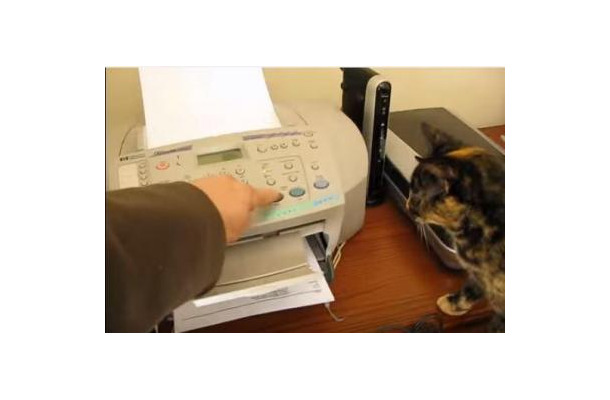 【動画】にゃんだ？FAX　VS　猫