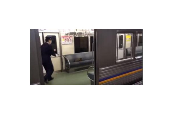 【動画】電車のなかに猫が！猫 vs 車掌さん