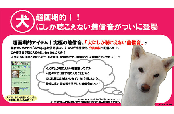 「犬にしか聴こえない着信音」