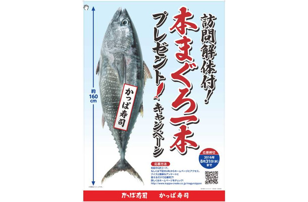 かっぱ寿司、本マグロ1本まるごと当たるキャンペーン