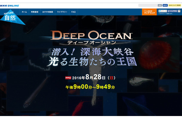 ダイオウイカ撮影のNHK深海取材班が挑む！発行生物の王国の秘密