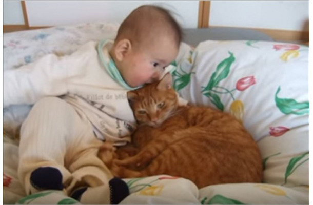 【動画】仲良く寄り添う赤ちゃんと猫 RBB TODAY