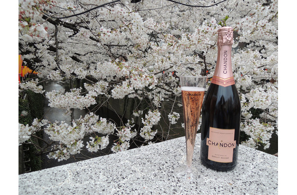 「シャンドンロゼ」のお花見イベント「お花見 CHANDON 目黒川」