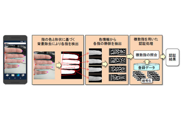 画像処理技術により指の静脈に特有な色合いの部分を強調することで静脈パターンを抽出。複数の指の静脈パターンを組み合わせることで認証精度を高めている（画像はプレスリリースより）