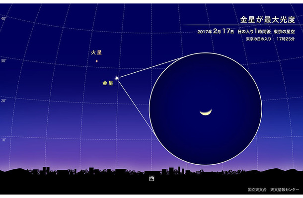 金星が今夜、最も明るく見える「最大光度」に！