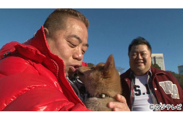 出川哲朗が柴犬と珍道中 芸能人たちの もしものペット体験 に密着 Rbb Today