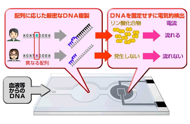 SNP識別技術の概要