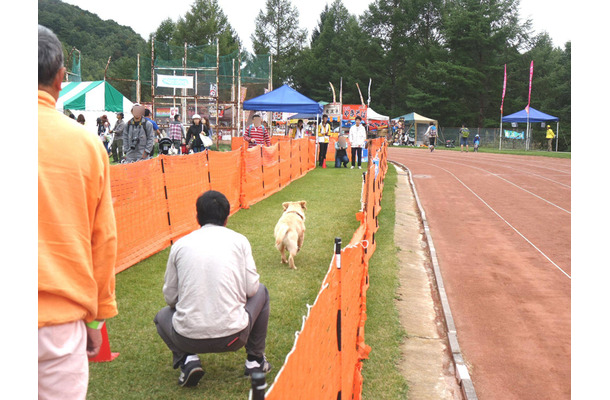 【八ヶ岳ドッグフェスタ　Vol.2】来場者が増加中！愛犬と楽しみ、犬について学んだ2日間