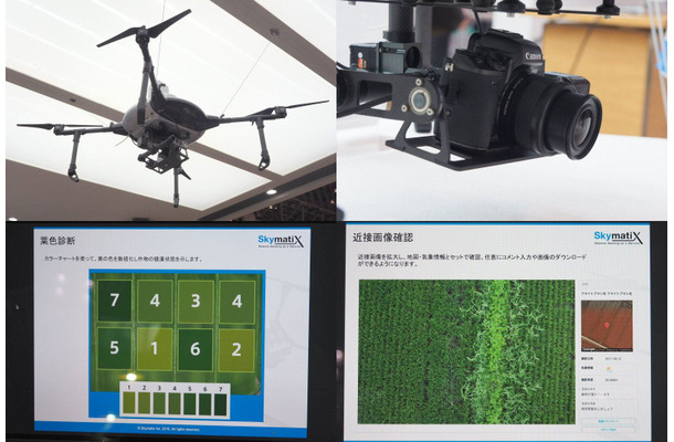 葉色解析サービス「いろは」。自治体との取り組みも進んでいる