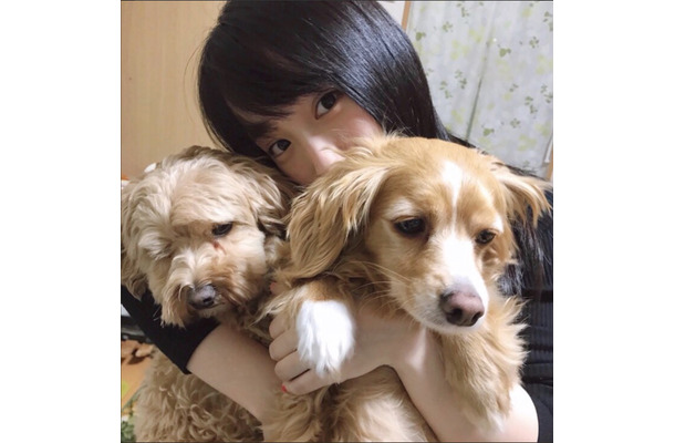 川栄李奈 愛犬との写真がかわいすぎると話題 犬になりたい の声も Rbb Today