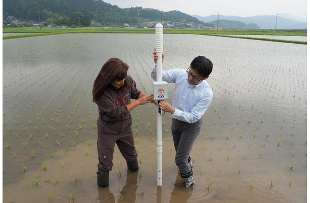 圃場では、実際に水位センサーを立てるデモもおこなわれた。水田により必要な水深は異なるので、1本ずつ設定していく