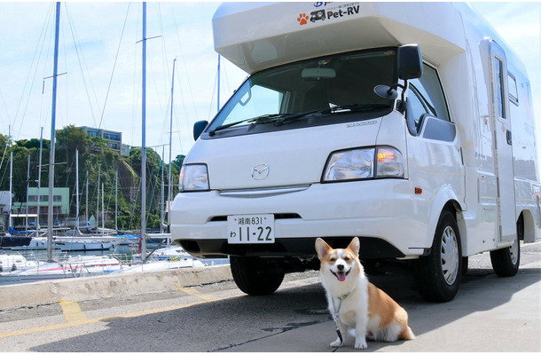 【ワンコとお出かけ Vol.16】レンタルキャンピングカーで行く湘南、三浦の旅（準備編）