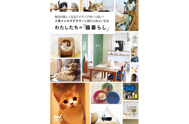 猫と心地よく暮らすためのアイデアが多数収録！『わたしたちの「猫暮らし」』発売