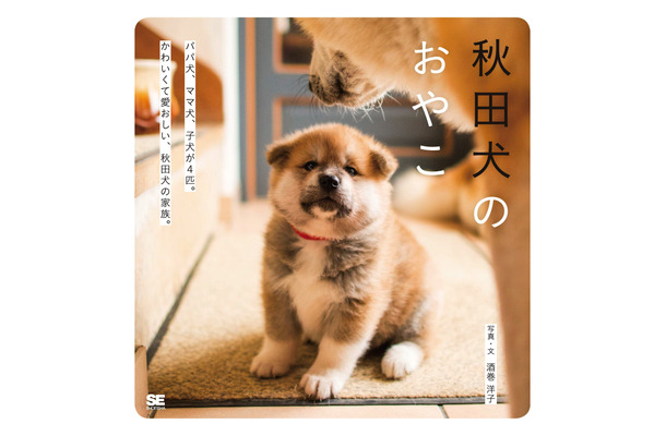 むくむくもふもふ......秋田犬親子の成長が一冊の写真集に！