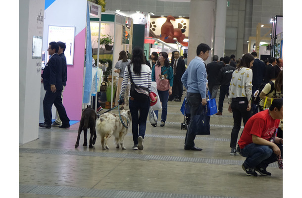 「インターペット2019」が今週末開催！注目イベントは？