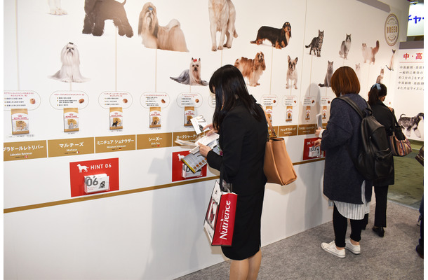 【Interpets（インターペット） 2019 Vol.7】愛犬・愛猫の健康を守る「ヒント」が得られる、ロイヤルカナン ジャポンのブース