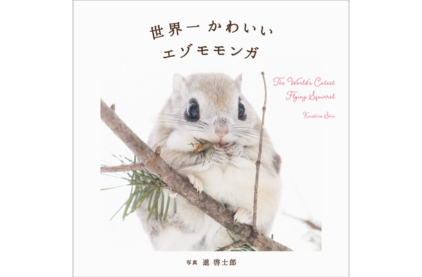 エゾモモンガの魅力をたっぷり収めた写真集『世界一かわいいエゾモモンガ』発売